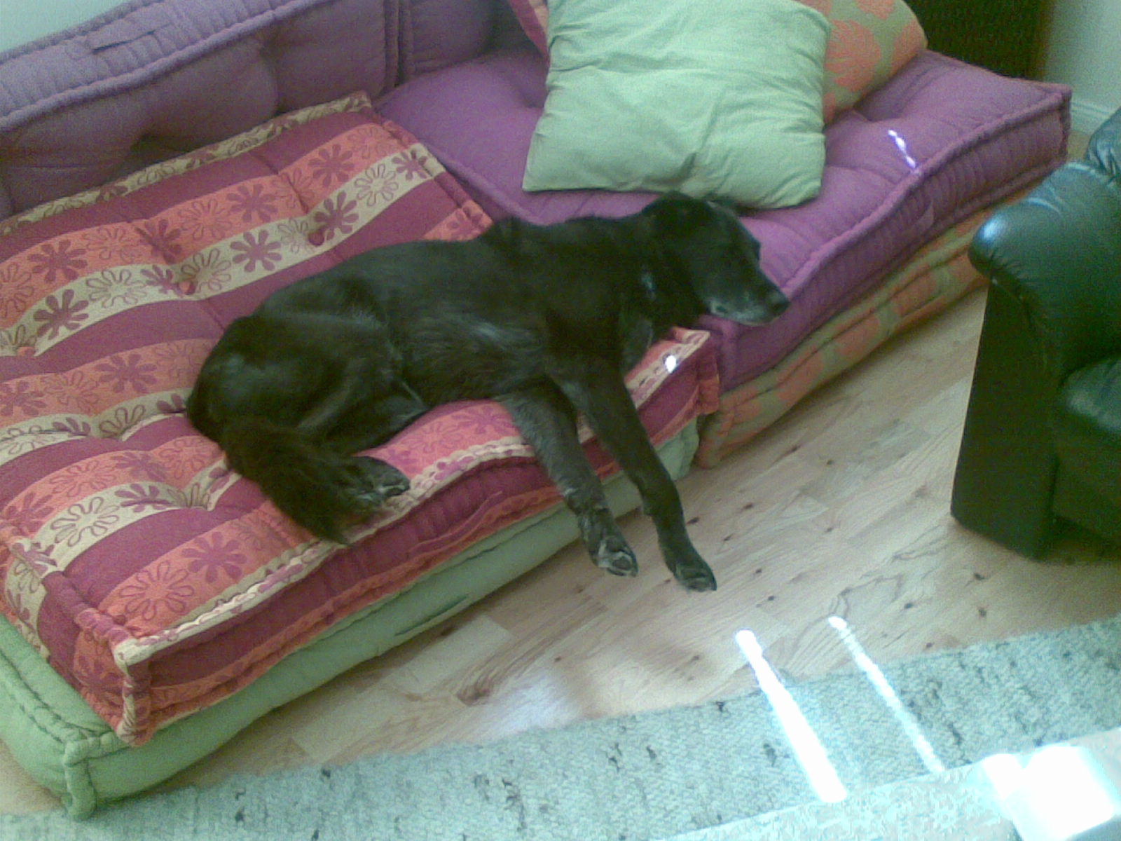 Extrem-Couching.jpg (1600 x 1200)